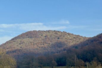 Operazione antibracconaggio nel Parco Naturale dei Monti Aurunci: fermato bracconiere a Pico