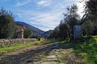 Passeggiata Culturale-Ambientale alla scoperta della via Appia Antica nel Parco Naturale dei Monti Aurunci